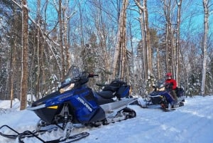 Quebec City: Guided Snowmobile Tour