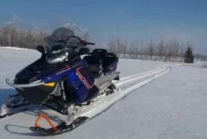 Quebec City: Guided Snowmobile Tour