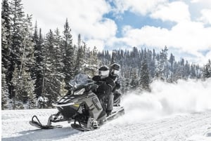 Quebec City: Guided Snowmobile Tour