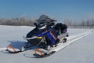 Quebec City: Guided Snowmobile Tour