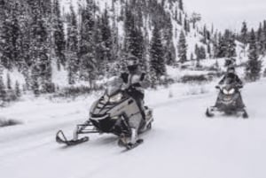 Quebec City: Guided Snowmobile Tour