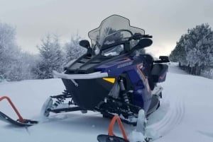Quebec City: Guided Snowmobile Tour