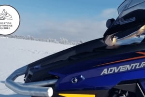 Quebec City: Guided Snowmobile Tour
