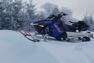 Quebec City: Guided Snowmobile Tour