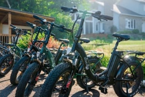 Cidade de Quebec: Tour guiado de bicicleta elétrica pela Ilha de Orléans com degustações