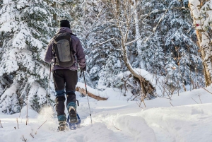 Quebec City: Snøskotur i Jacques-Cartier nasjonalpark
