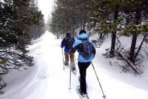 Quebec City: Snøskotur i Jacques-Cartier nasjonalpark