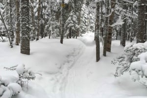 Quebec City: Snøskotur i Jacques-Cartier nasjonalpark