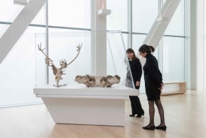 Quebec City: Biglietto d'ingresso per il Museo Nazionale delle Belle Arti MNBAQ