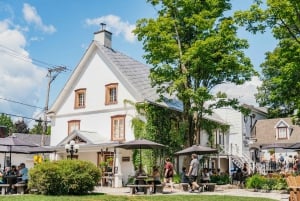 Quebec City: Montmorency Falls & Ile d'Orleans Half-Day Tour
