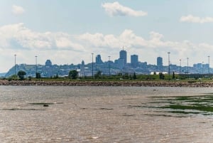 Quebec City: Montmorency Falls & Ile d'Orleans Half-Day Tour
