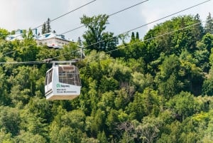 Quebec City: Montmorency Falls & Ile d'Orleans Half-Day Tour