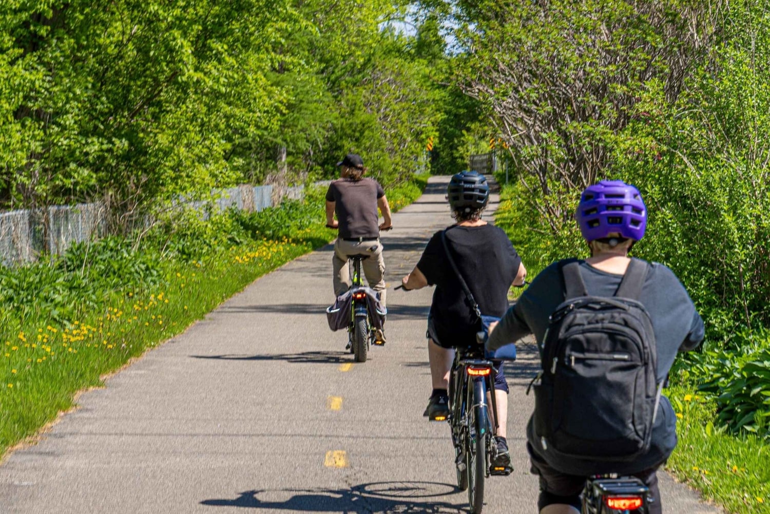 Quebec City: Off the Beaten Path eBike Tour with Tastings