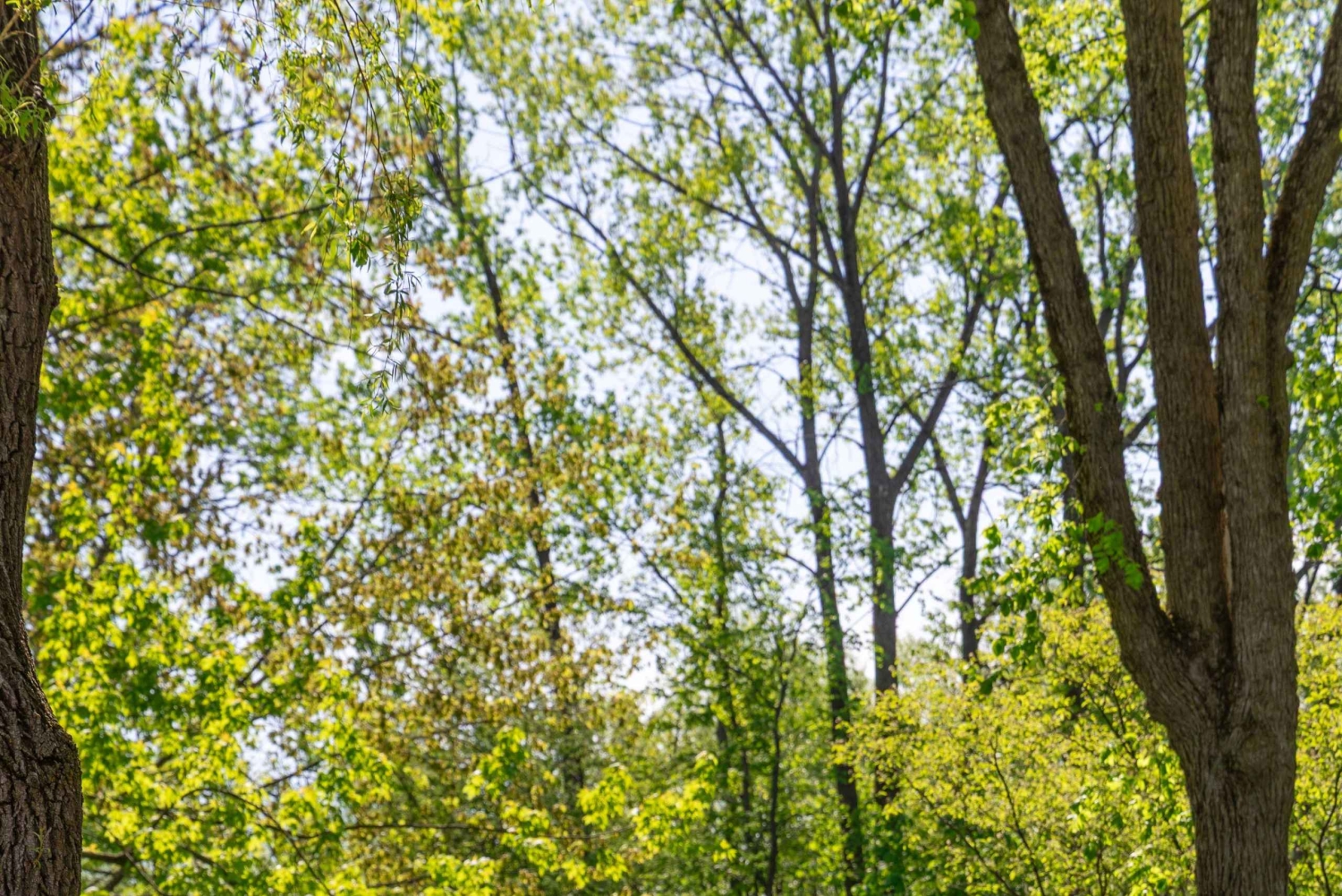 Quebec City: Off the Beaten Path eBike Tour with Tastings