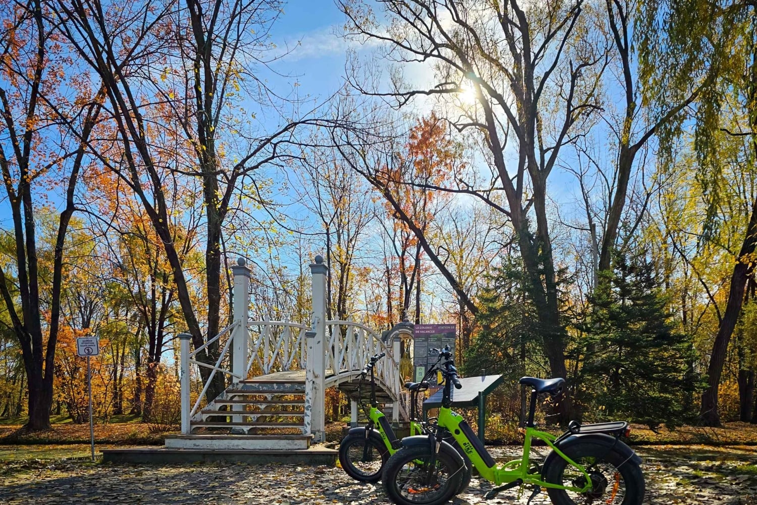 Quebec City: Off the Beaten Path eBike Tour with Tastings