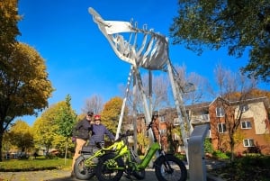 Quebec City: Off the Beaten Path eBike Tour with Tastings