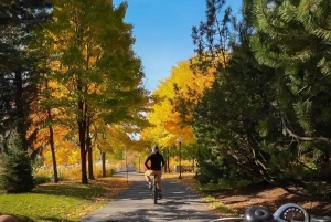 Quebec City: Off the Beaten Path eBike Tour with Tastings