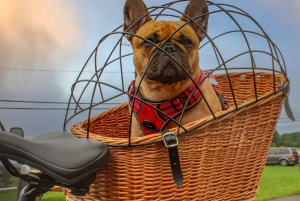 Quebec City: Off the Beaten Path eBike Tour with Tastings