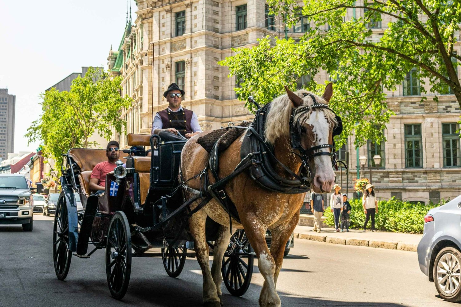 Città di Québec: tour privato della città
