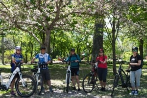 Quebec City: Privat elektrisk cykeltur