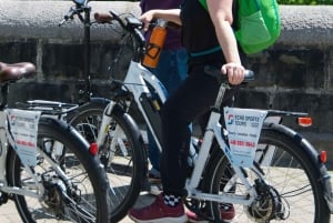 Quebec City: Privat elektrisk cykeltur