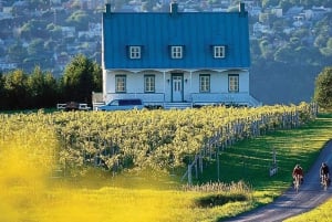 Cidade do Quebeque - Aluguer regular de bicicletas na Ile d'Orléans