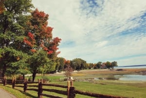 Cidade do Quebeque - Aluguer regular de bicicletas na Ile d'Orléans