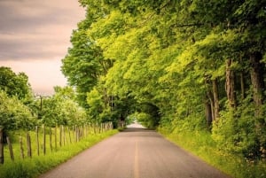 Cidade do Quebeque - Aluguer regular de bicicletas na Ile d'Orléans