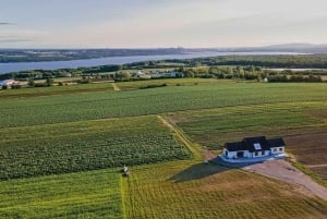 Quebec City - Geführte Tour mit dem Scooter auf der Ile d'Orléans