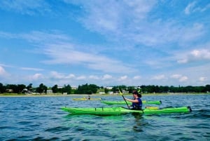 Quebec City: Sea-Kayaking Tour in Orleans Island