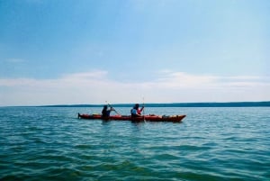 Quebec City: Sea-Kayaking Tour in Orleans Island