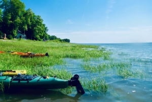 Quebec City: Sea-Kayaking Tour in Orleans Island
