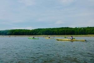 Quebec City: Sea-Kayaking Tour in Orleans Island