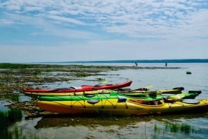Quebec City: Sea-Kayaking Tour in Orleans Island