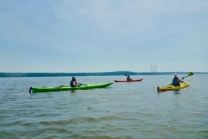 Quebec City: Sea-Kayaking Tour in Orleans Island