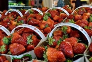 Quebec City - Tandemsykkelutleie på Ile d'Orléans