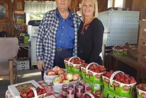 Quebec City - Tandemsykkelutleie på Ile d'Orléans