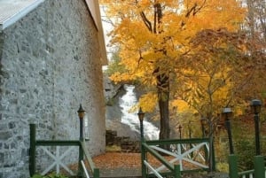 Quebec: kaupunkikierros, Montmorency-putoukset ja Île d'Orléans -kierros
