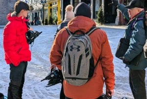 Quebec City: Passeio mágico de inverno