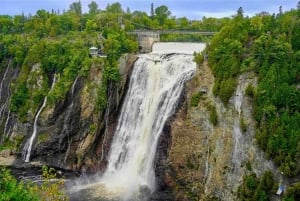 Quebec: Montmorency Falls and Basilica Private Half-Day Tour