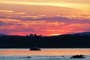 Quebec: Montmorency Falls and Basilica Private Half-Day Tour