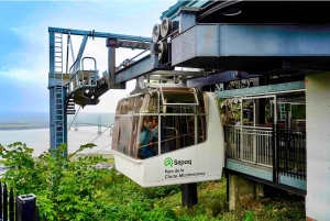 Quebec: Montmorency Falls and Basilica Private Half-Day Tour