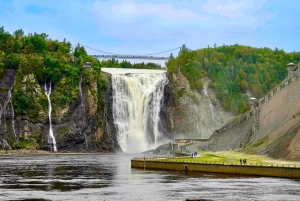 Quebec: Montmorency Falls and Basilica Private Half-Day Tour