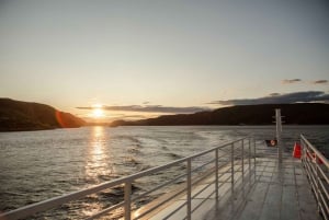 Tadoussac/Charlevoix: 3-Hour Whale Watching Boat Tour
