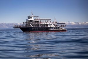 Tadoussac/Charlevoix: 3-Hour Whale Watching Boat Tour