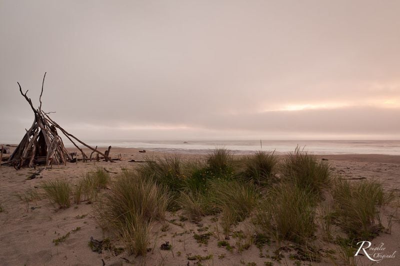 Beach at Kohaihai, Kahurangi National Park