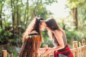 Visite en petit groupe de 21 jours Grand Kiwi Experience