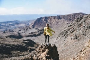 21 Tage Grand Kiwi Experience Kleingruppentour