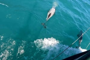 Tour particular de 5 dias pela Ilha Sul da Nova Zelândia saindo de Queenstown