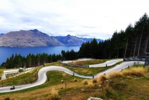 5 Day South Island NZ Tour from Dunedin to Christchurch